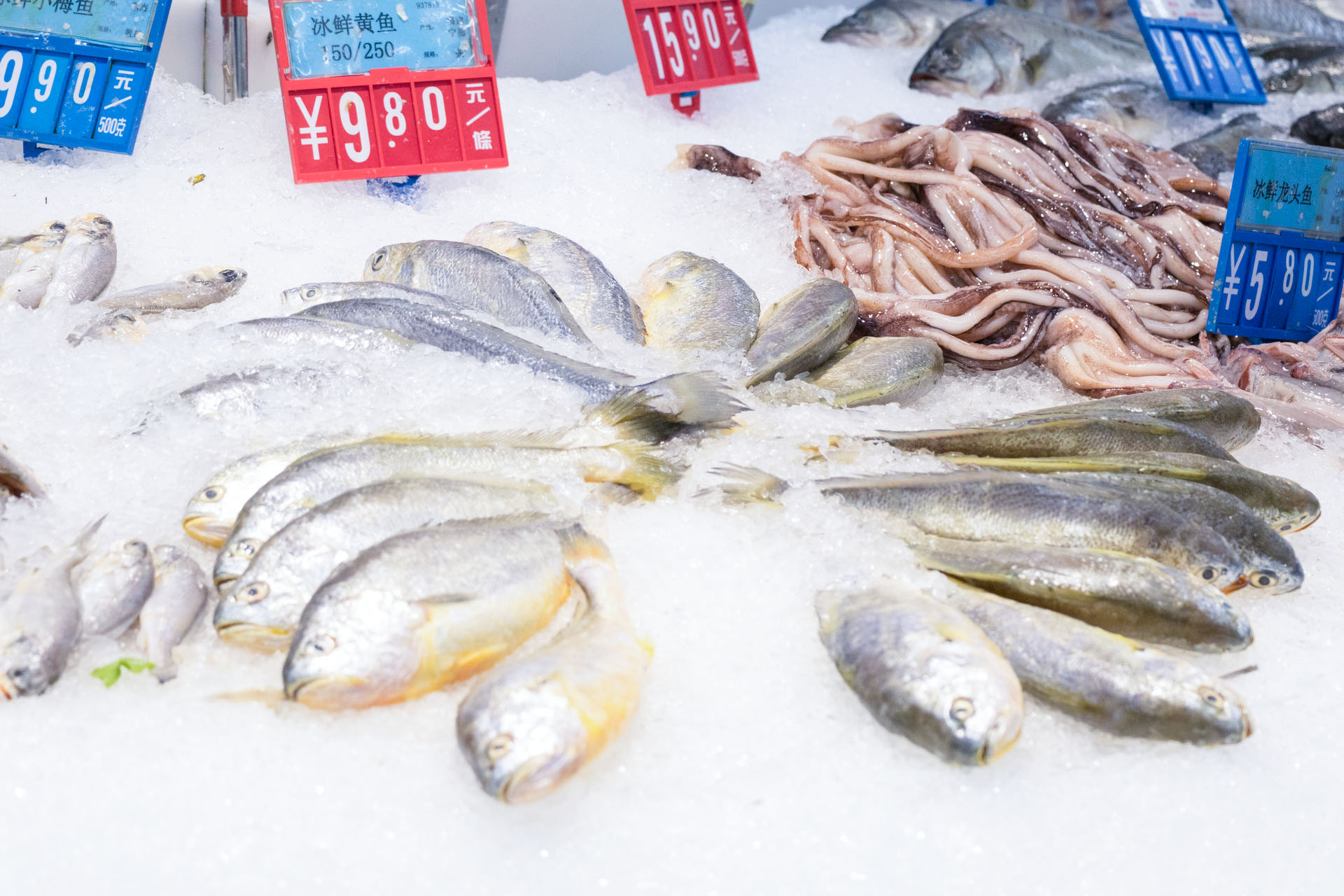 理性看待網(wǎng)紅趕海，注意水產(chǎn)品安全問(wèn)題！