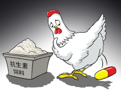 食品抗生素層出不窮，如何檢測？